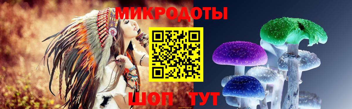Псилоцибиновые грибы Psilocybine cubensis Обнинск